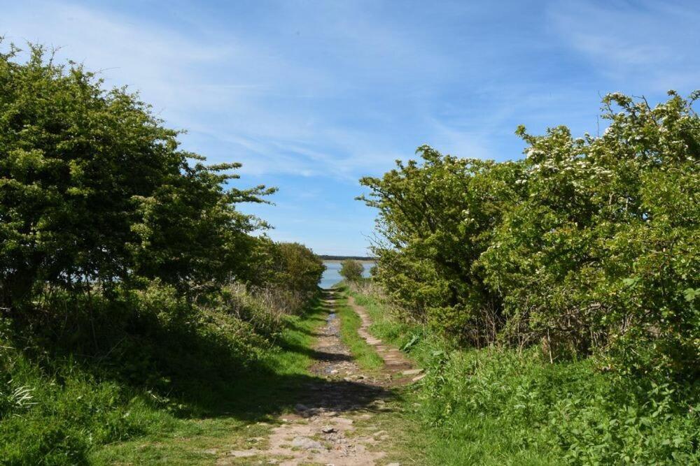 Kittiwake Cottage, Budle Bay 巴姆博格 外观 照片